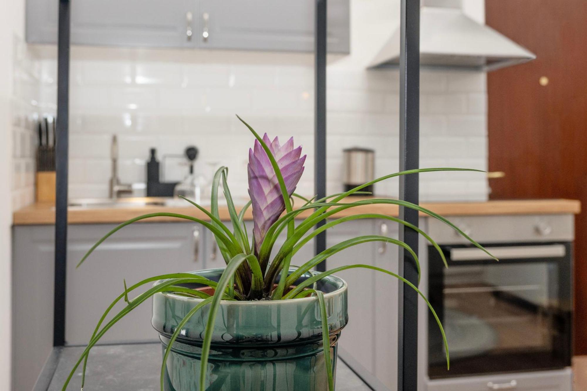 Studio Apartment Stadium Zagreb Eksteriør billede